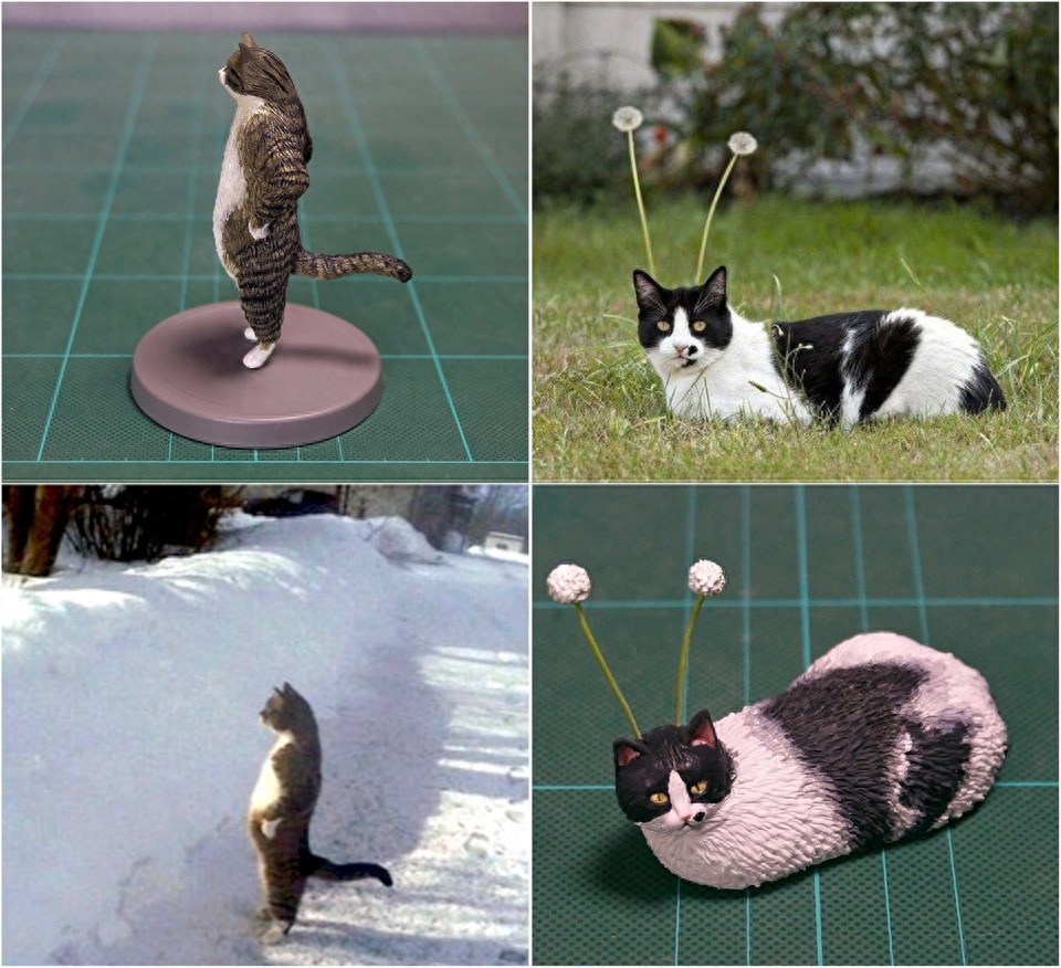 这些疯传的猫咪图片，太搞笑了！有大神还把它做成公仔