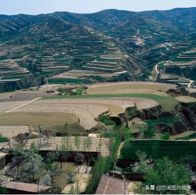 马家窑文化的集大成所在，这些彩陶花纹多样，线条流畅，图案明丽