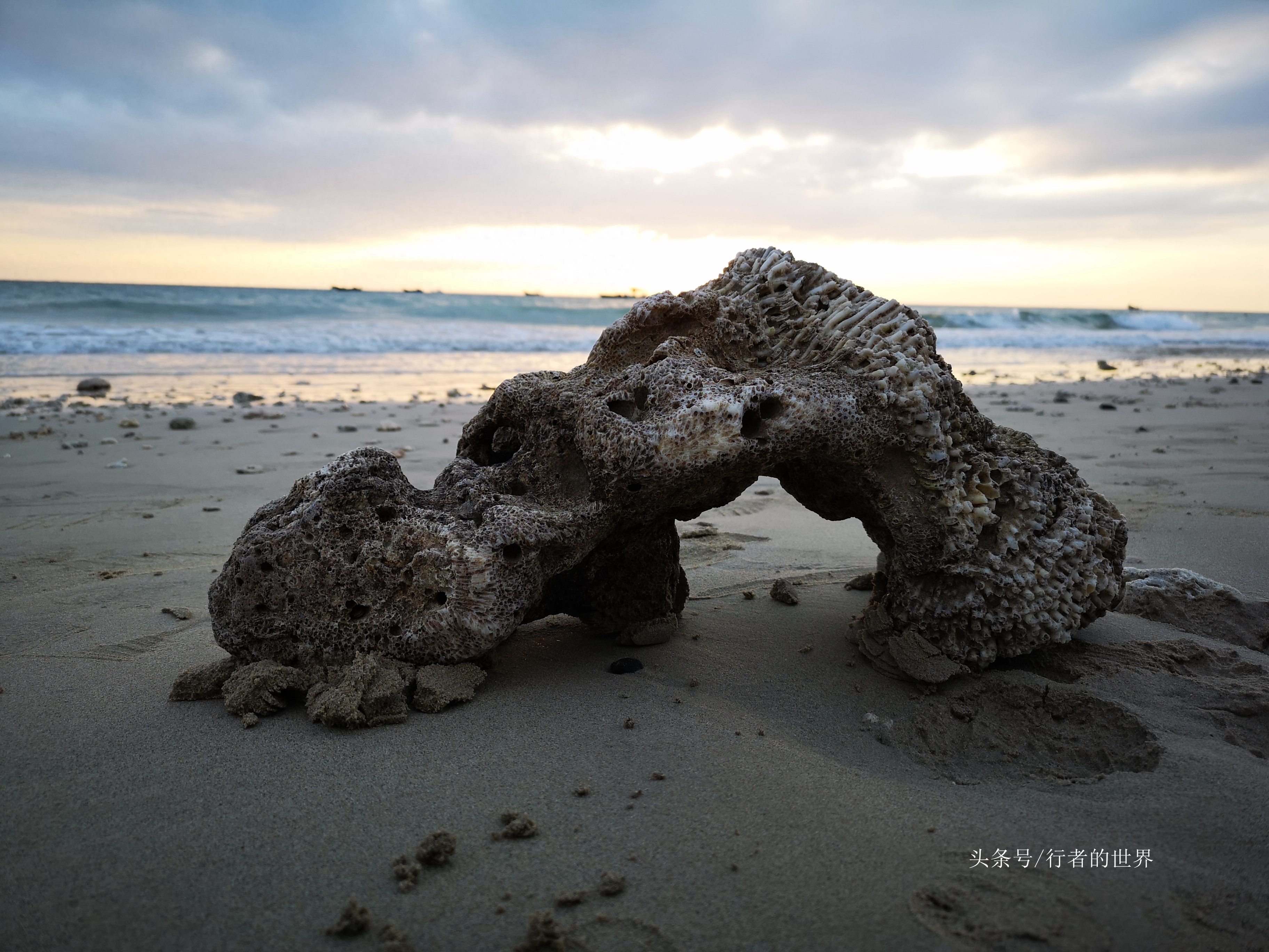 赶海，捡珊瑚石，涠洲岛上原始野趣多