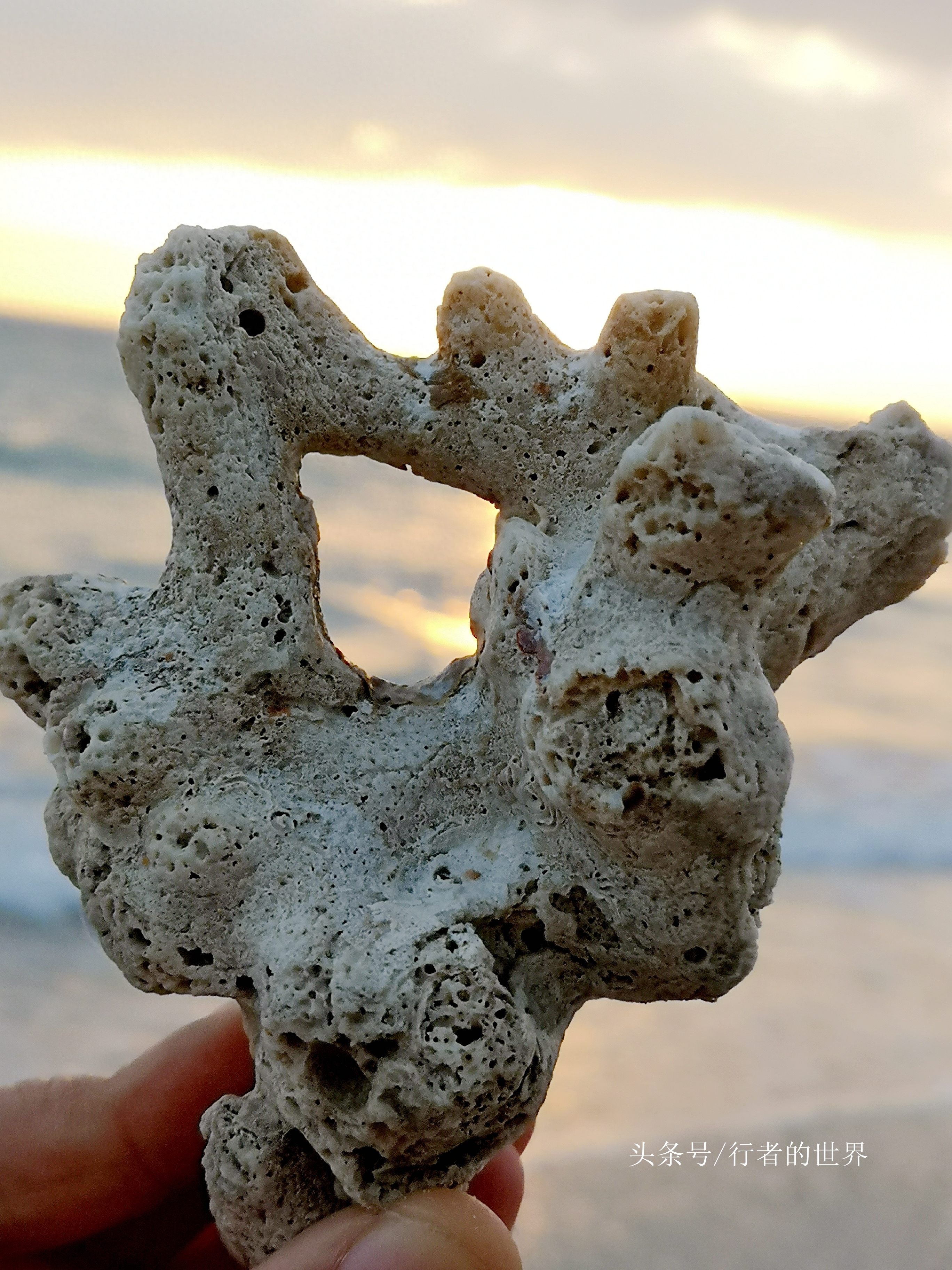 赶海，捡珊瑚石，涠洲岛上原始野趣多